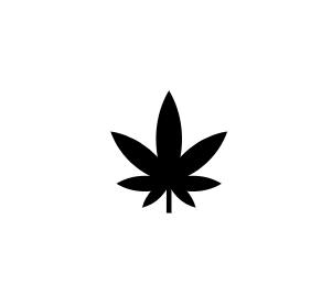 FLASH - REDWOOD ROOTS FAMILY - FARMER'S CHOICE FLOWER [3.5G] BLUEBERRY BY WILD WEED BOTANICALS