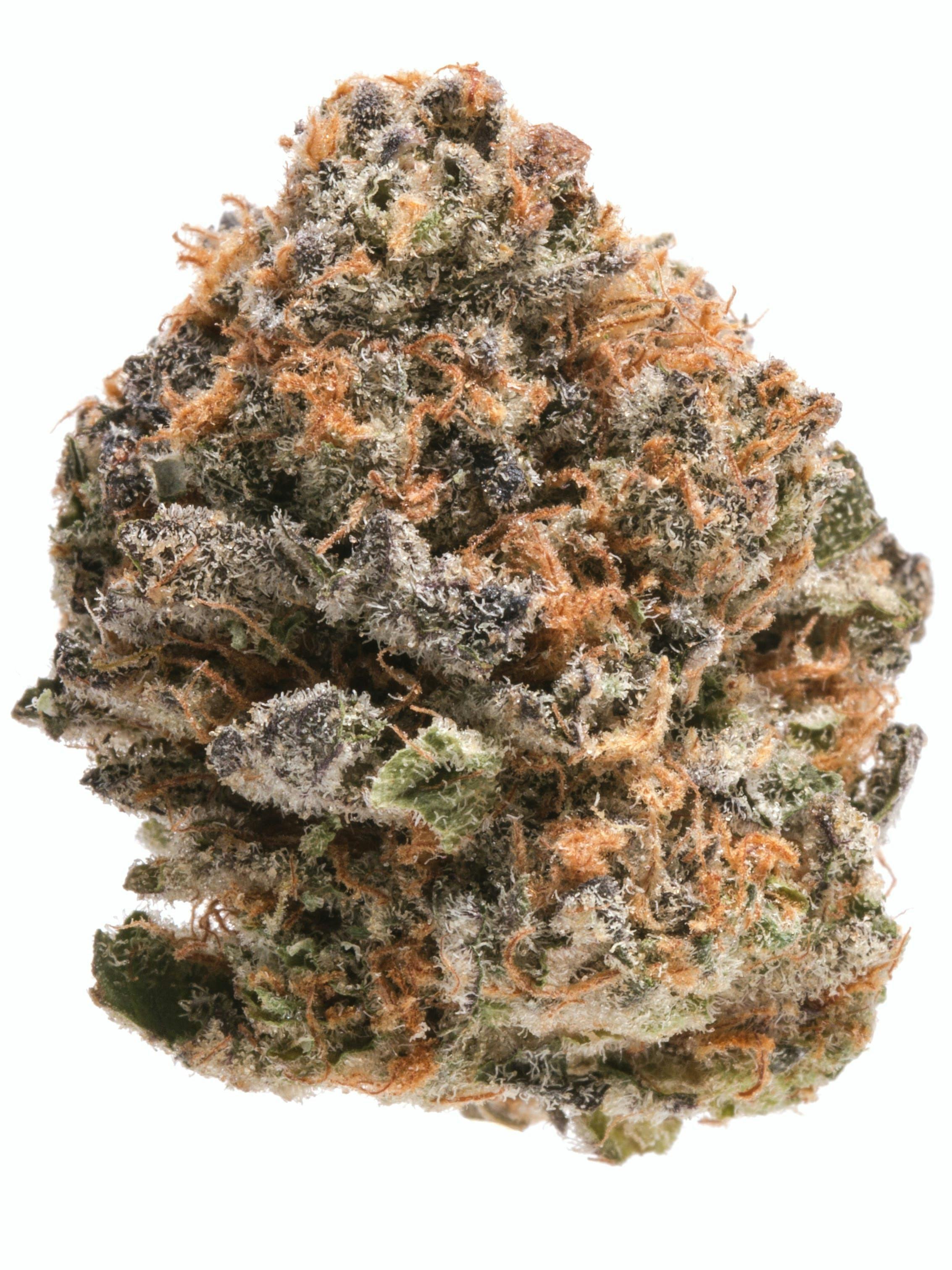 GLP - Bernie Hana Butter