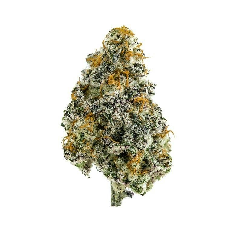 Grower Circle - Tangelo Kush