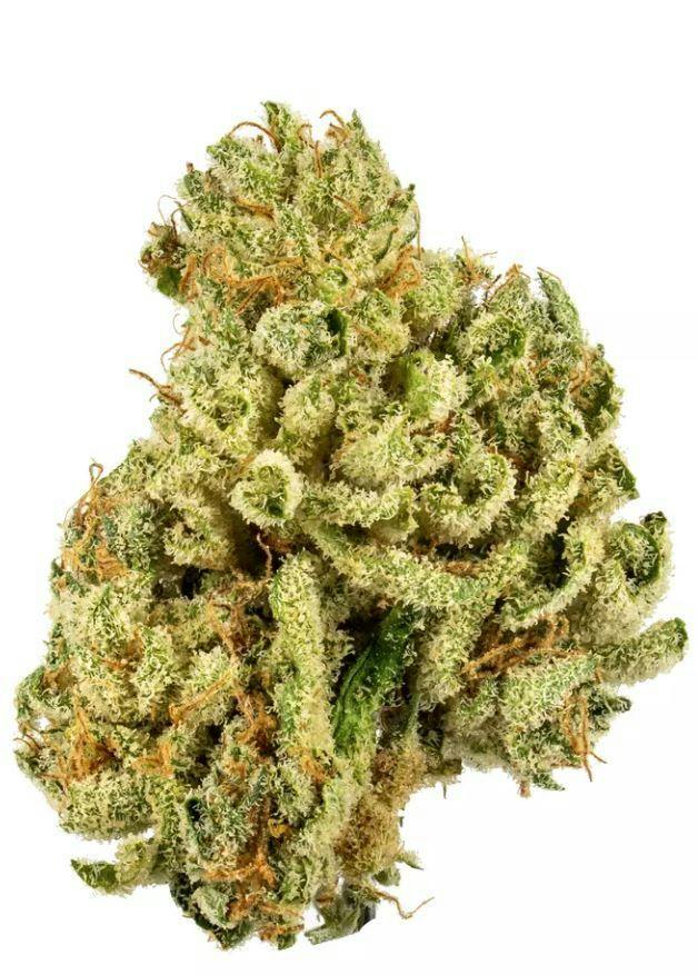 Gold Leaf: Secret Stash - Bubble Gum (14G)