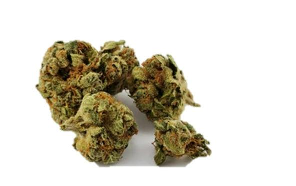 Mojo: Secret Stash - Mimosa Pie (14G)