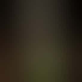 Bear Berry Bulk Flower - By Alaska Cannabis Exchange