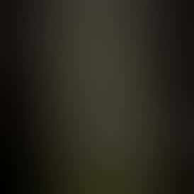 Purple Punch Bulk Flower - By Alaska Cannabis Exchange