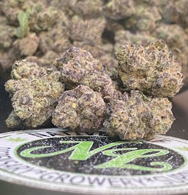 MotherShip $8g