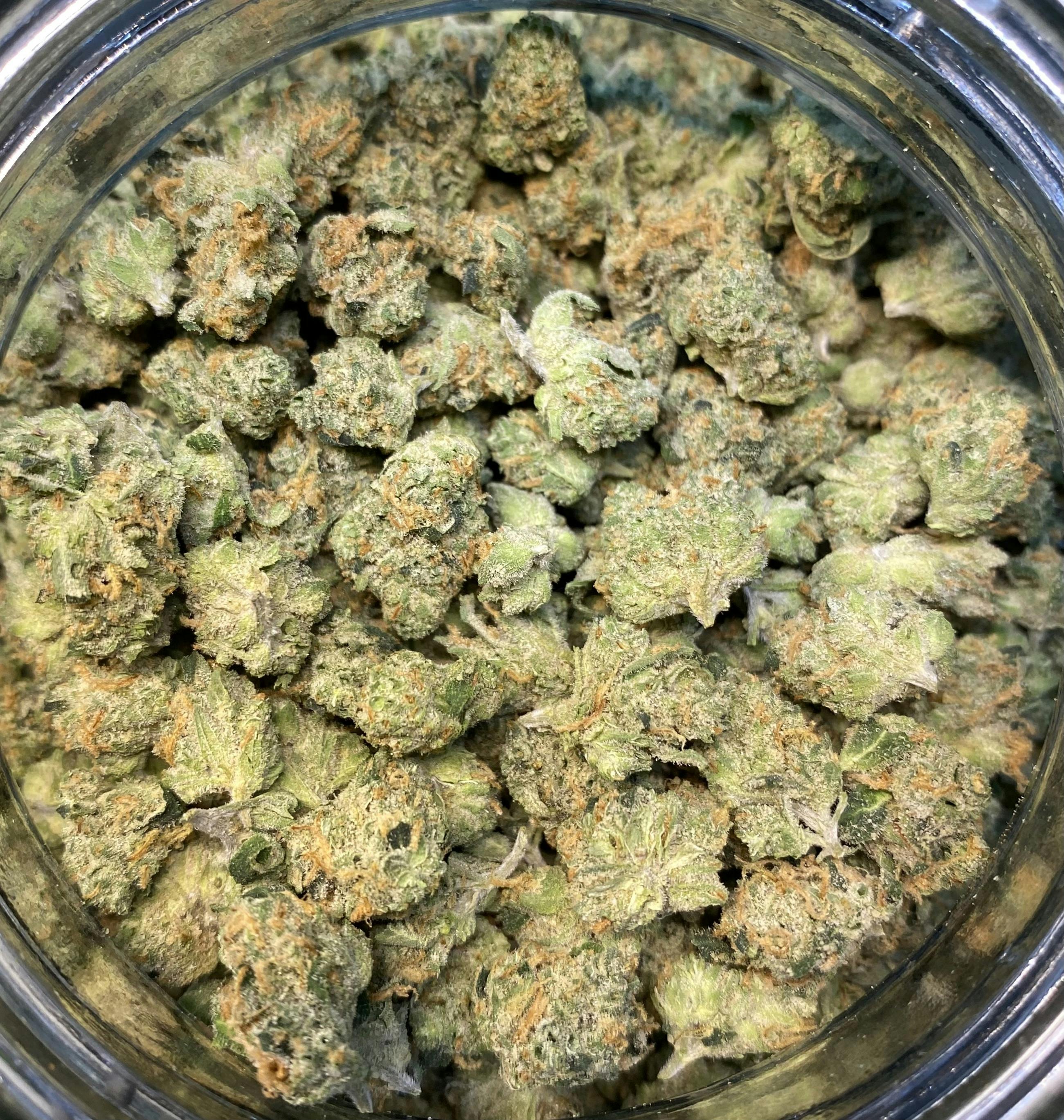 Lemon Skunk Big Buds
