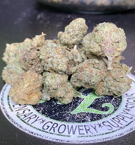 Gelato Cake $5g