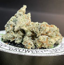 Violet Fog $75oz