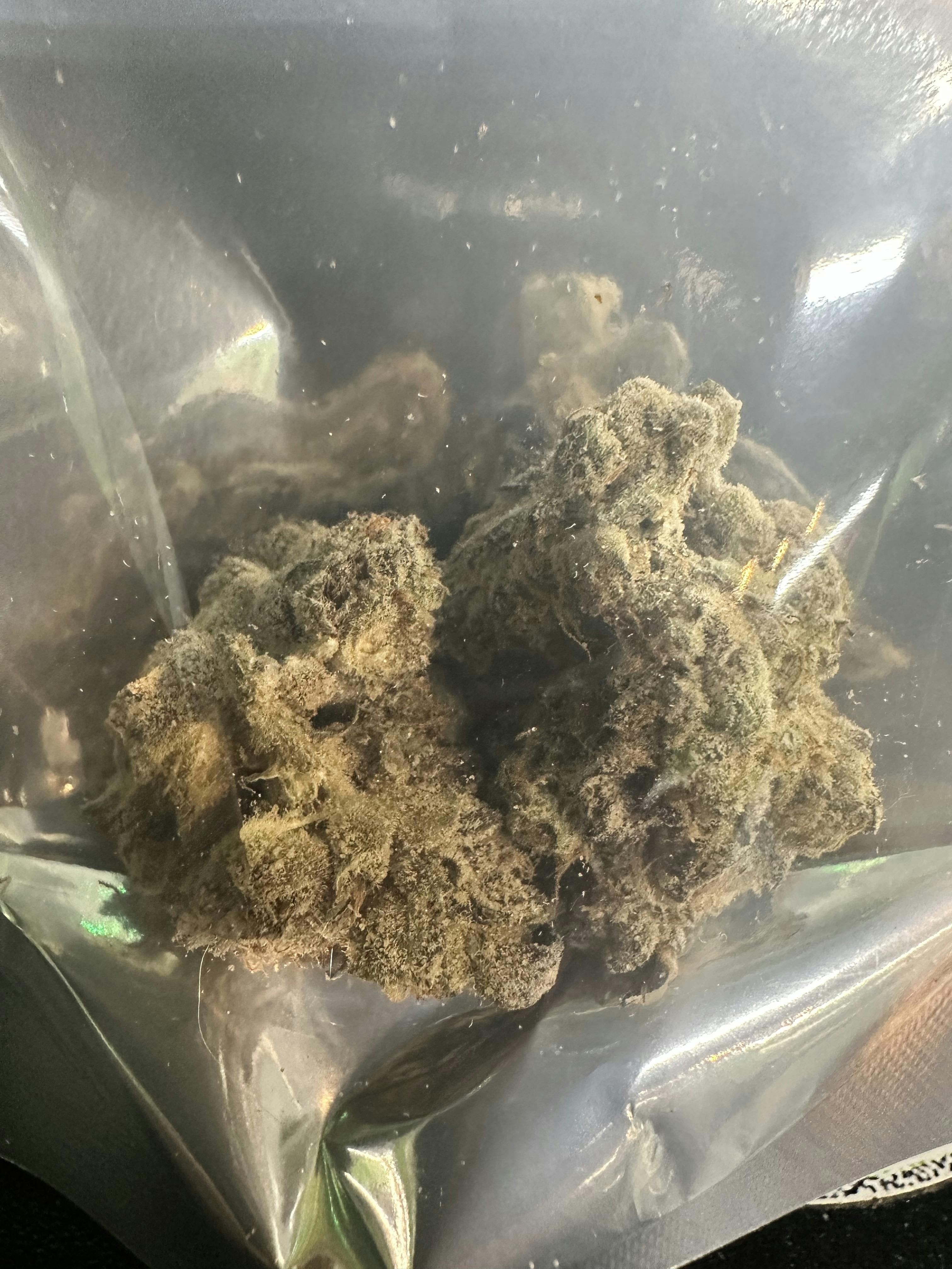 ONION BURGER 3.5 $15 (BIG BEAUTIFUL BUDS)