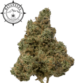 DJ Short Blueberry FLOWER (I)