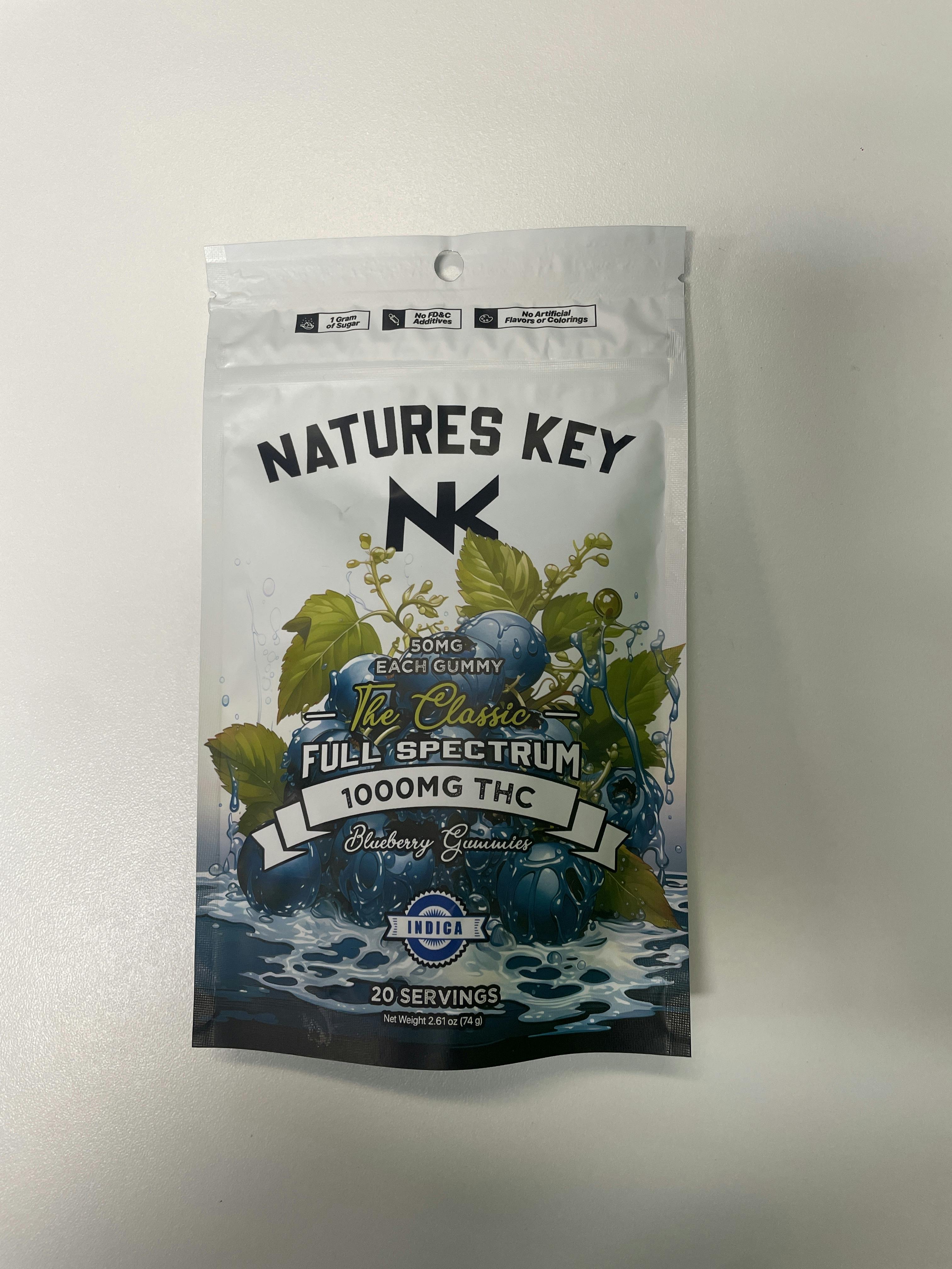 NATURES KEY-1000mg THC Blueberry- Indica