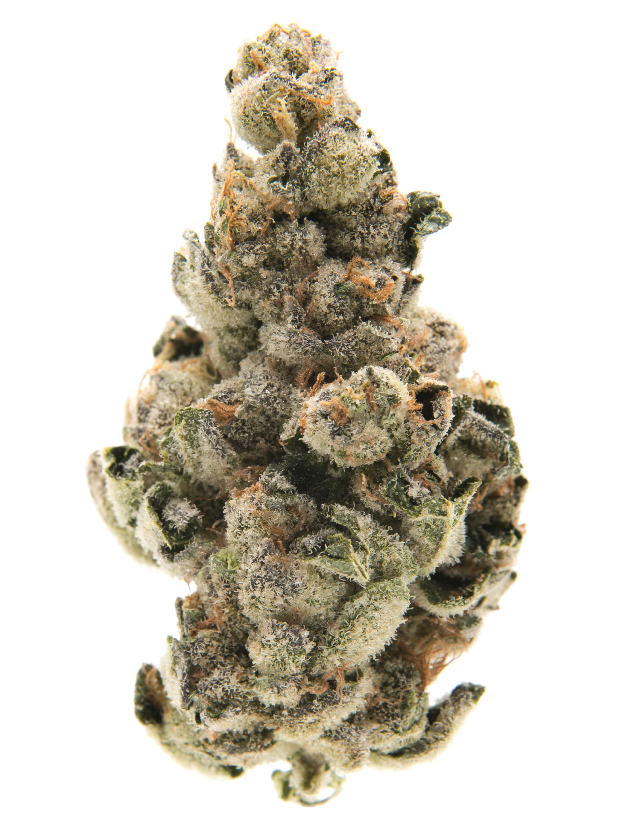 The Hangar - Pineapple Burst