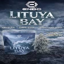 Lituya Bay | Big Buds | 3.5g by Endo