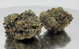 Flower Bomb | Boston Runtz | Flower