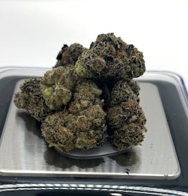 Operation Grow | Rancid Rainbow | Flower