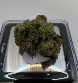 Nug Brothers | Watermelon Dream | Flower