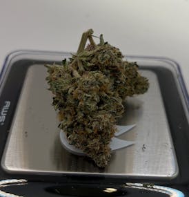 B&K | American Pie | Flower