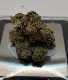 Operation Grow | Dante's Inferno x Black Velvet | Flower