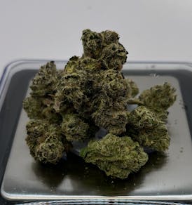 Jubel Exotics | Galactic Warheadz | Flower