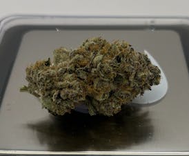 B&K | Ice Berry Cake | Flower