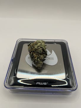 Operation Grow | Super Boof | Flower