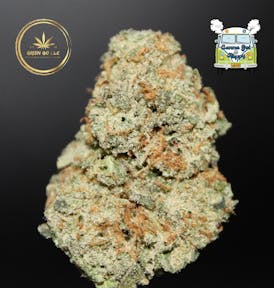 Fuzzy Bear | by Green Go