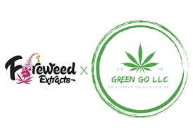 Grape | BHO Disposable | by Fireweed Extracts
