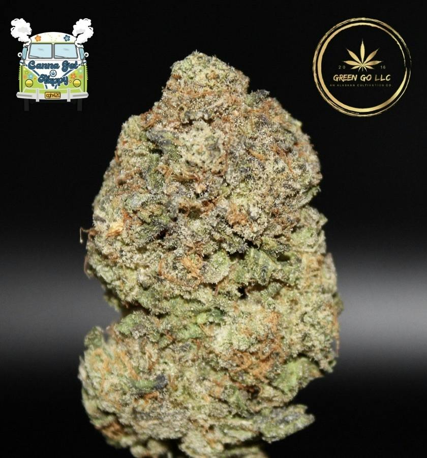 Gas Monkey | Flower | by Green Go