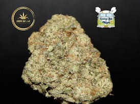 GG Mango Mojito | Flower | by Green Go