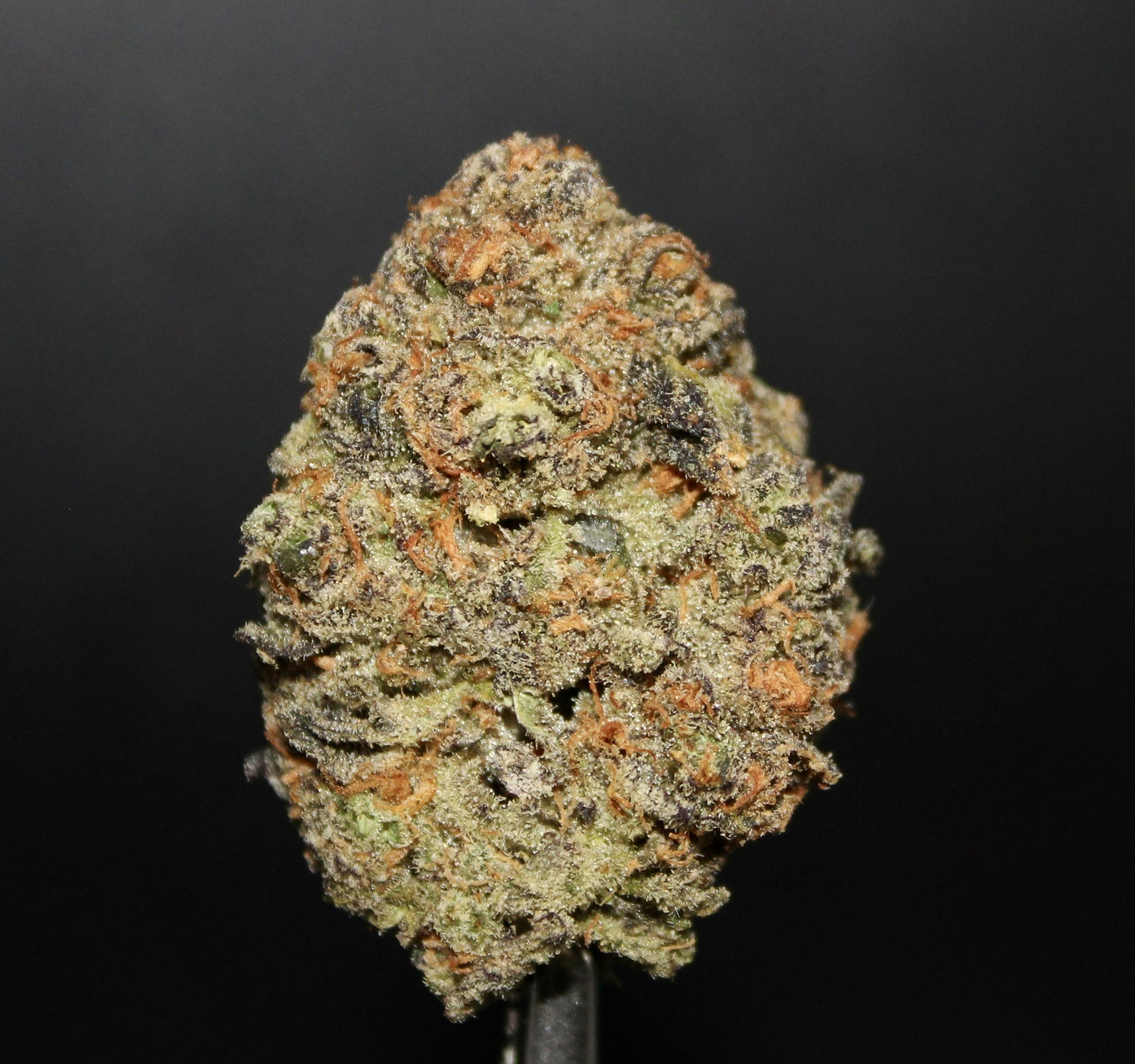 Sundae Driver | Flower | by Green Go