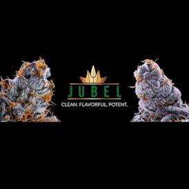 NUCLEAR WARHEADZ - JUBEL - THC: 26.06 TERPS: 2.26