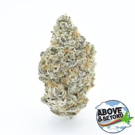 TG207 - Dante's Inferno (70/30) Indica