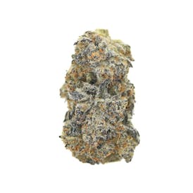 Garlic Icing Flower (50/50) Hybrid