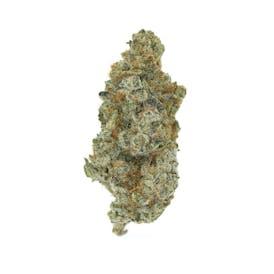 Dirigo - K.O. Runtz (70%/30%) Indica