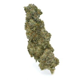 Dirigo - Garlic Spuds Flower (60%/40%) Indica
