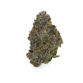 PTA : Rainbow Zangria Flower (60%/40%) Indica