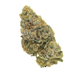 Face Off Flower (50%/50%) Hybrid