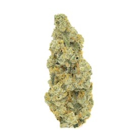 Mimosa Punch Flower (65%/35%) Indica