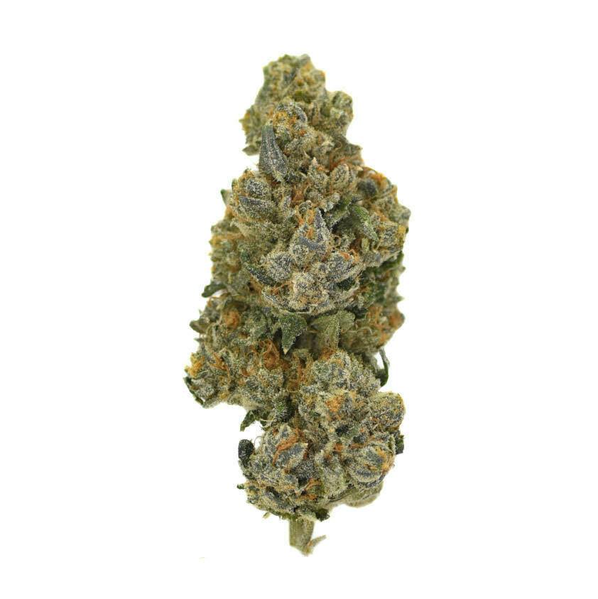 OG Kush Triploid (50%/50%) Hybrid at Sixty Sixty Medical Cannabis