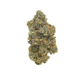 Gary Payton Flower (50/50) Hybrid