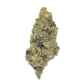 Apple Fritter Flower (Hybrid)