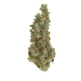 Mimosa Flower (70/30) Sativa