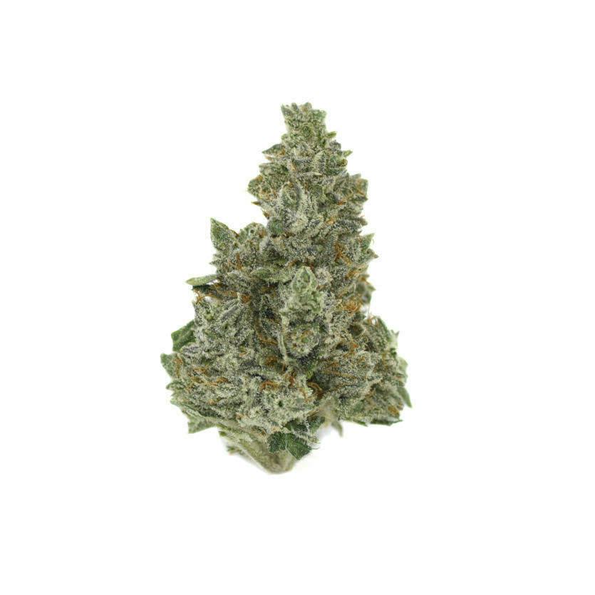 Kush Mintz Flower (50/50) Hybrid at Sixty Sixty Medical Cannabis