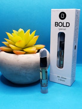 BOLD - 24 Mr. Clean Distillate Vape 1g