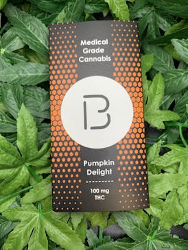 BOLD - 100mg Pumpkin Delight Chocolate