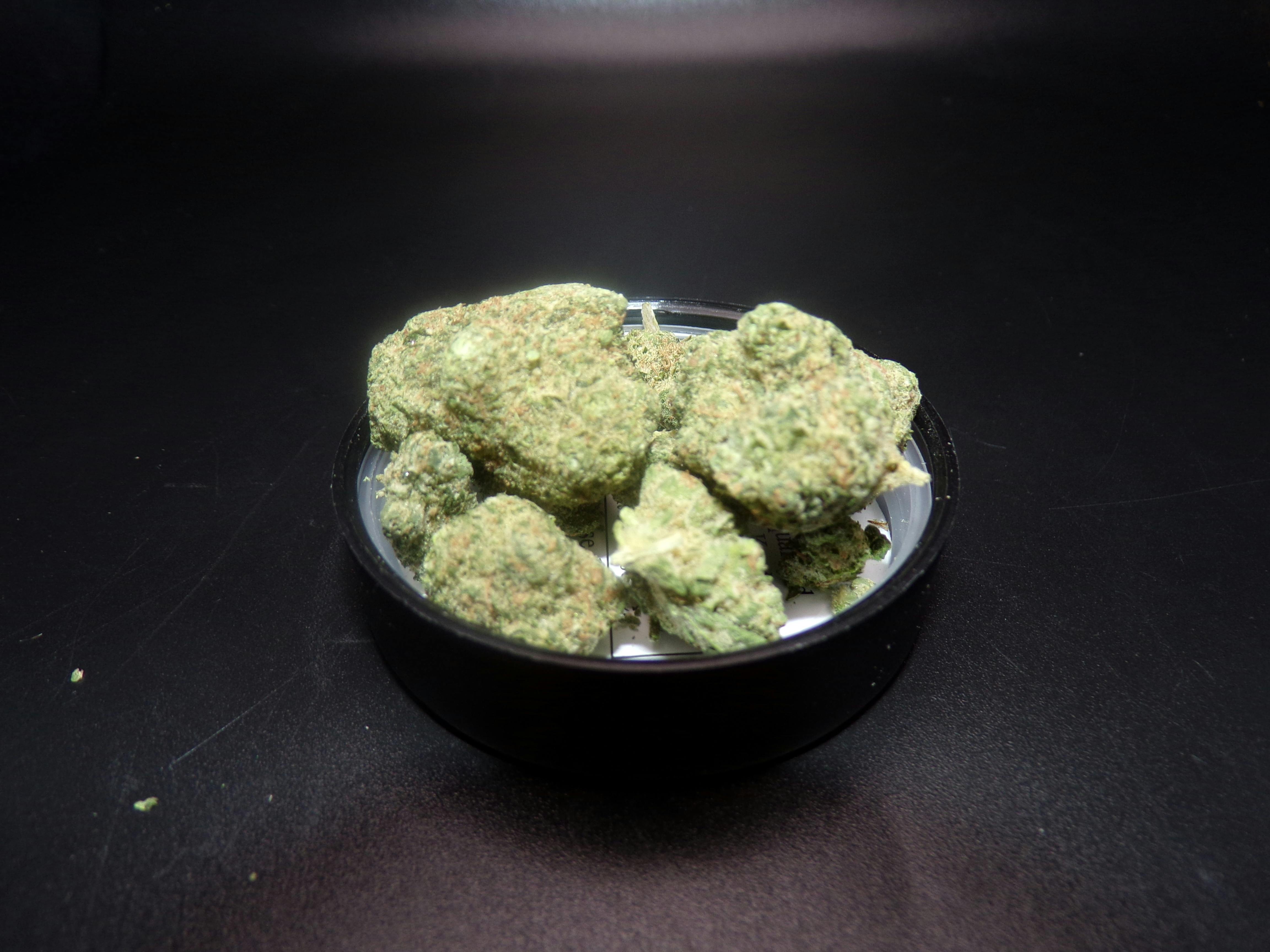 BOLD - Glass Slipper 3.5g