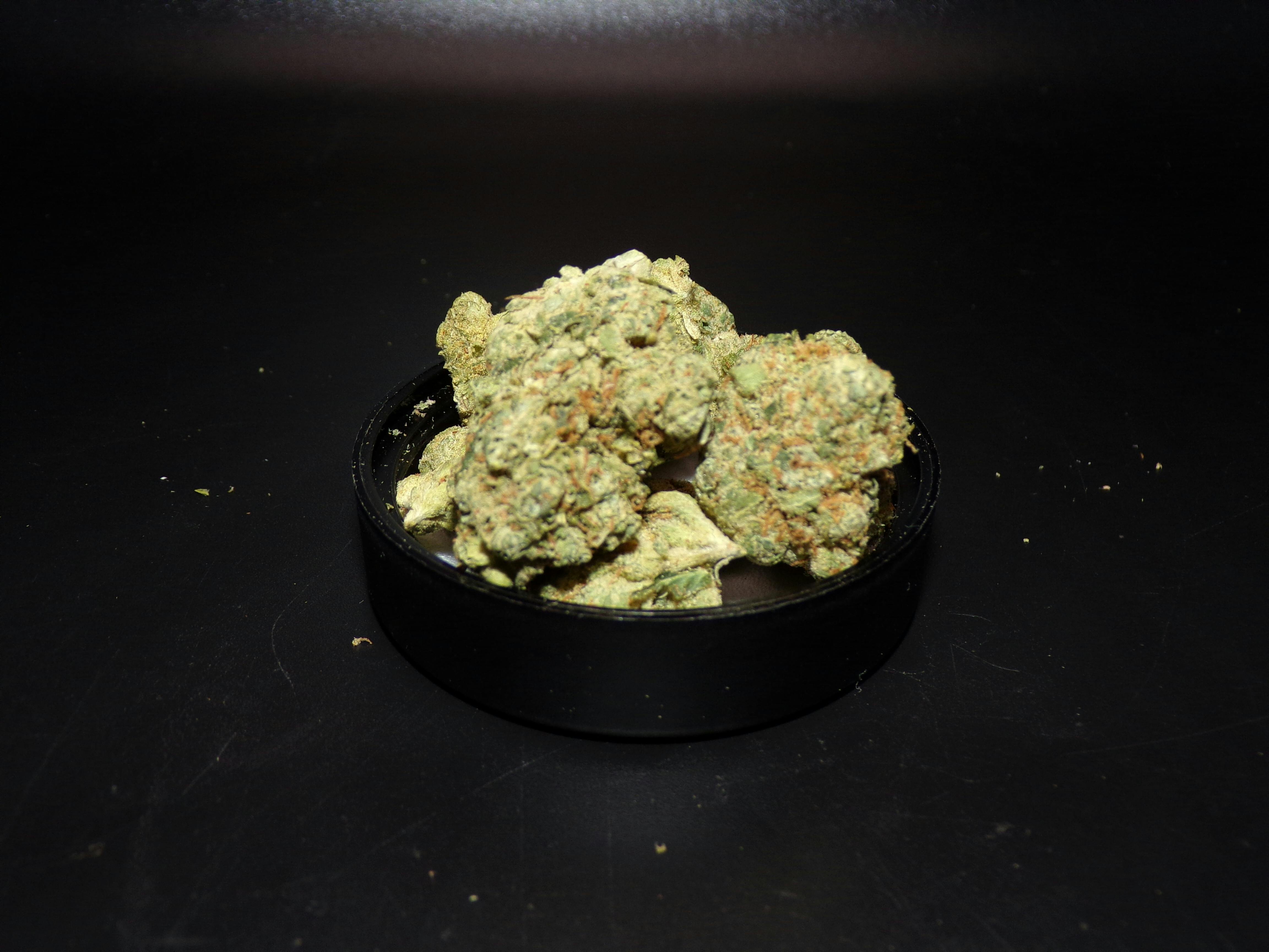BOLD - Holy Roller OG 3.5g