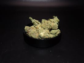 BOLD - Mendo Breath 3.5g