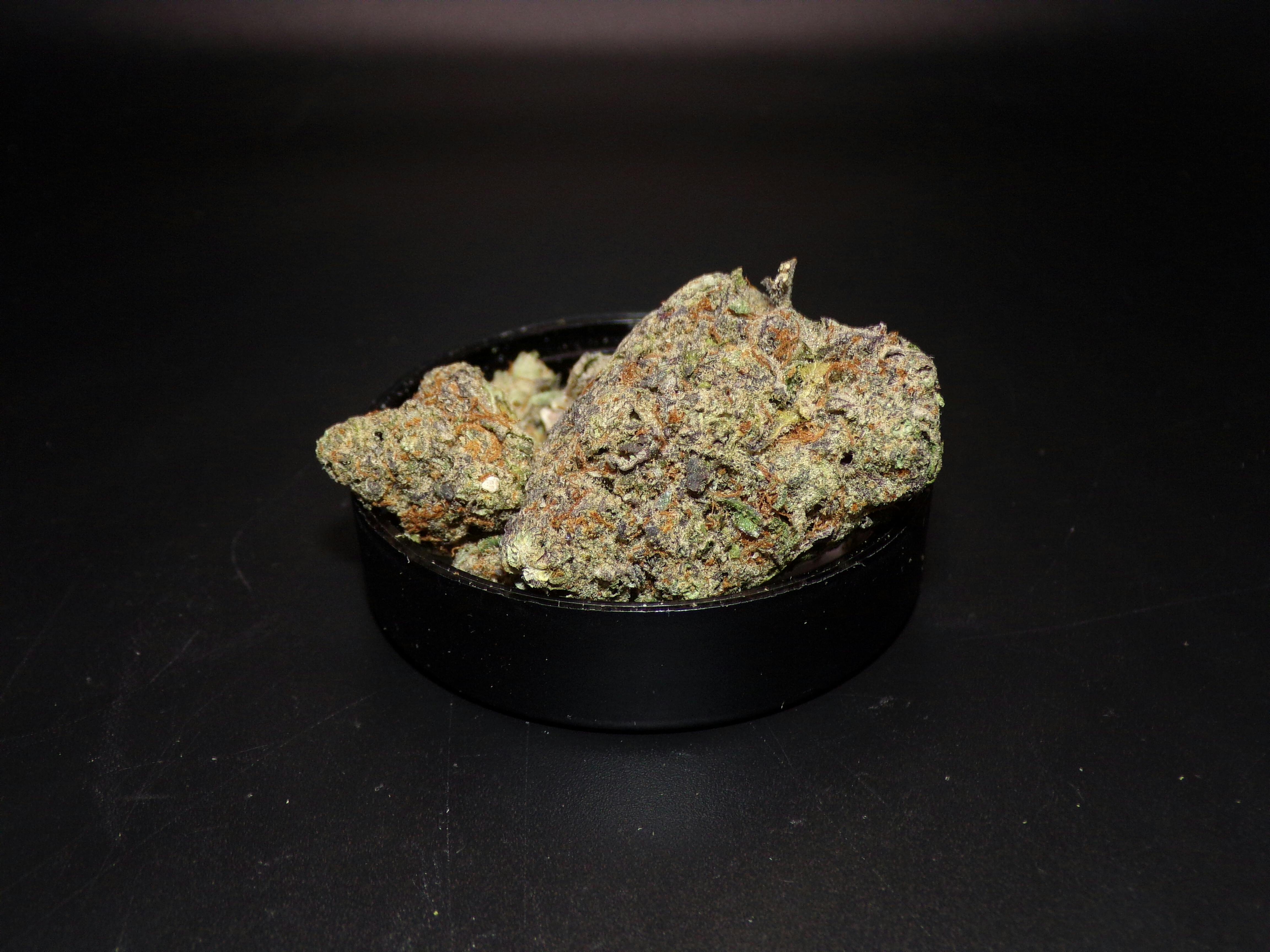 Runtz Muffin | 3.5g