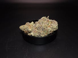 BOLD - Runtz Muffin 3.5g