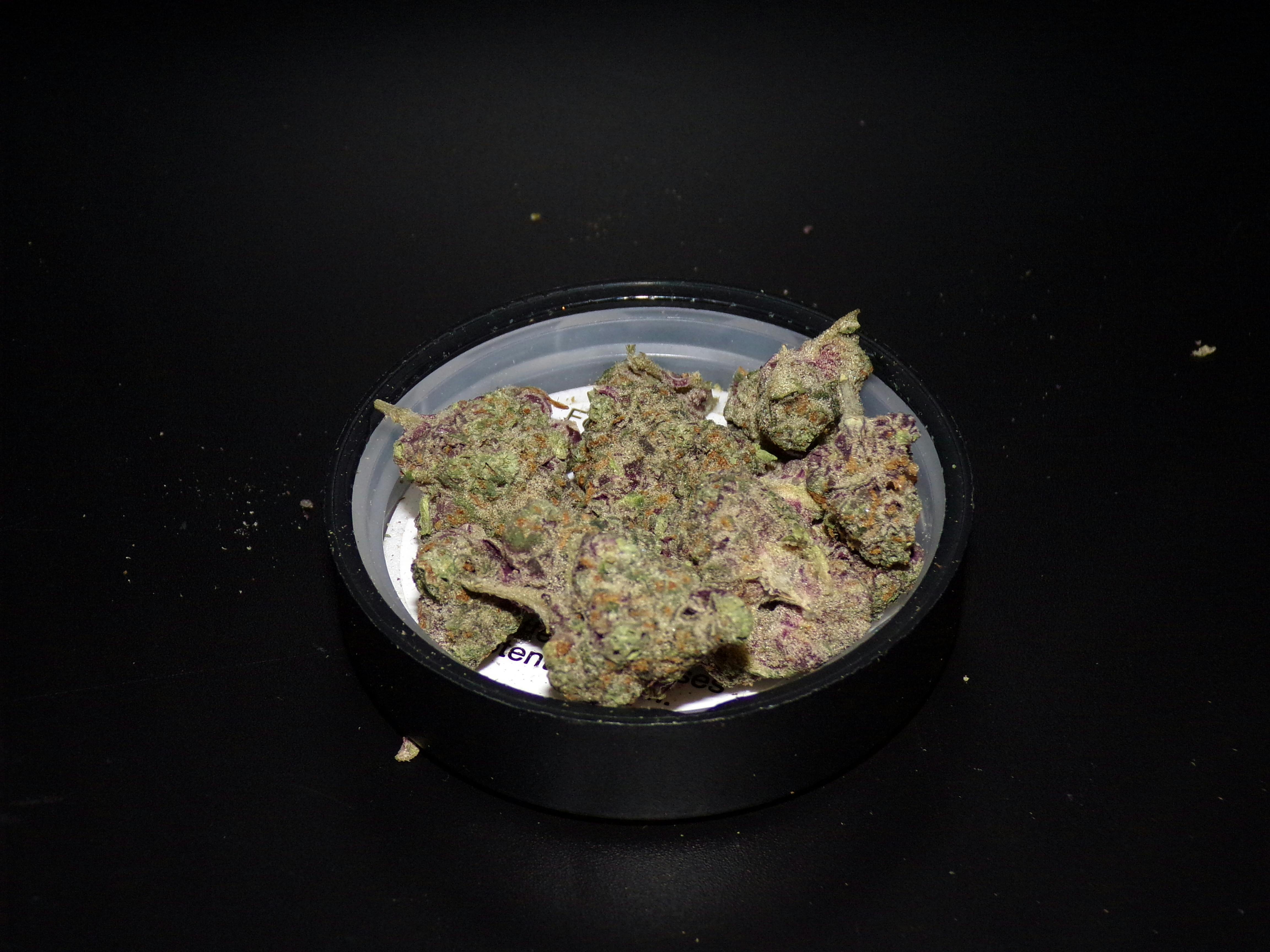 BOLD - Double Stack 3.5g